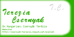 terezia csernyak business card